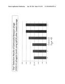 Active Phage-Based Inks, Methods of Printing on Materials and Phage-Based     Bioactive diagram and image