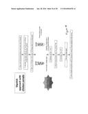 Active Phage-Based Inks, Methods of Printing on Materials and Phage-Based     Bioactive diagram and image