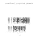 ALKANE OXIDATION BY MODIFIED HYDROXYLASES diagram and image