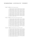 ALKANE OXIDATION BY MODIFIED HYDROXYLASES diagram and image