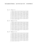 ALKANE OXIDATION BY MODIFIED HYDROXYLASES diagram and image