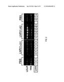 METHODS FOR INCREASING EFFICACY OF LIPID FORMULATED siRNA diagram and image