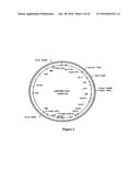 Methods For Enhancing Segregation of Transgenes in Plants and Compositions     Thereof diagram and image