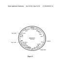 Methods For Enhancing Segregation of Transgenes in Plants and Compositions     Thereof diagram and image