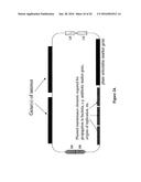 Methods For Enhancing Segregation of Transgenes in Plants and Compositions     Thereof diagram and image