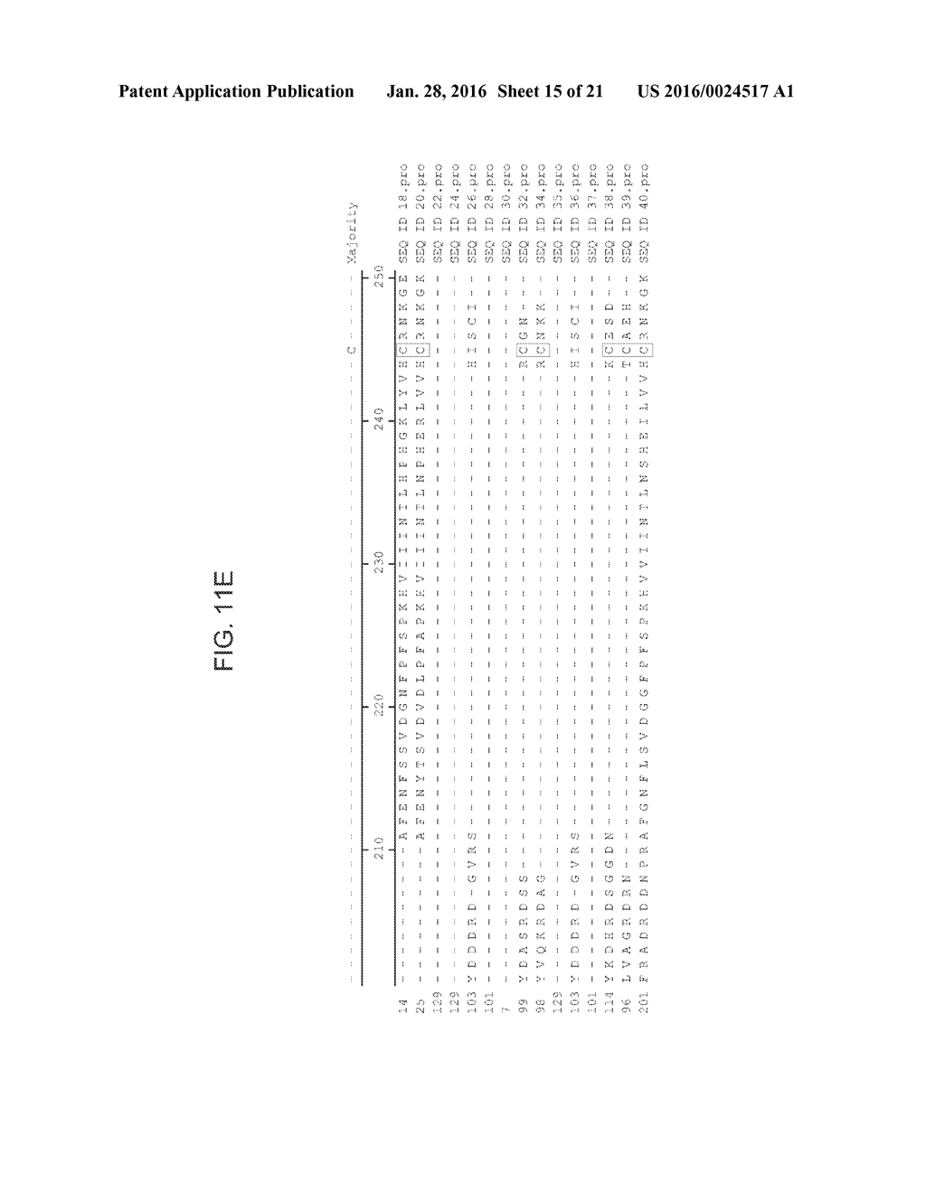 DROUGHT TOLERANT PLANTS AND RELATED CONSTRUCTS AND METHODS INVOLVING GENES     ENCODING SELF-INCOMPATIBILITY PROTEIN RELATED POLYPEPTIDES - diagram, schematic, and image 16