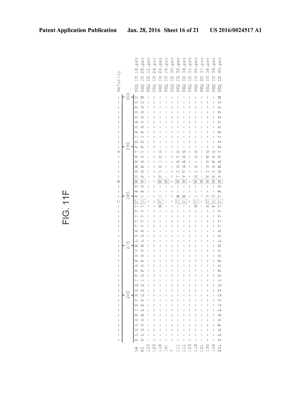 DROUGHT TOLERANT PLANTS AND RELATED CONSTRUCTS AND METHODS INVOLVING GENES     ENCODING SELF-INCOMPATIBILITY PROTEIN RELATED POLYPEPTIDES - diagram, schematic, and image 17