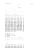 PRODUCTION OF SMALL INTERFERING RNAS IN PLANTA diagram and image