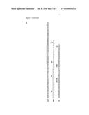 NOVEL NUCLEIC ACID MOLECULES diagram and image