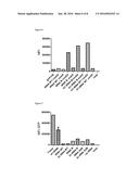 NOVEL NUCLEIC ACID MOLECULES diagram and image