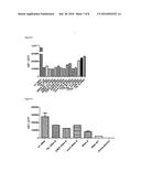 NOVEL NUCLEIC ACID MOLECULES diagram and image