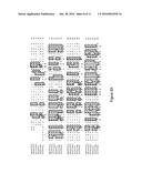 Cytochrome P450S and Uses Thereof diagram and image