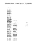 Cytochrome P450S and Uses Thereof diagram and image