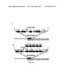 ATP DRIVEN DIRECT PHOTOSYNTHETIC PRODUCTION OF FUELS AND CHEMICALS diagram and image