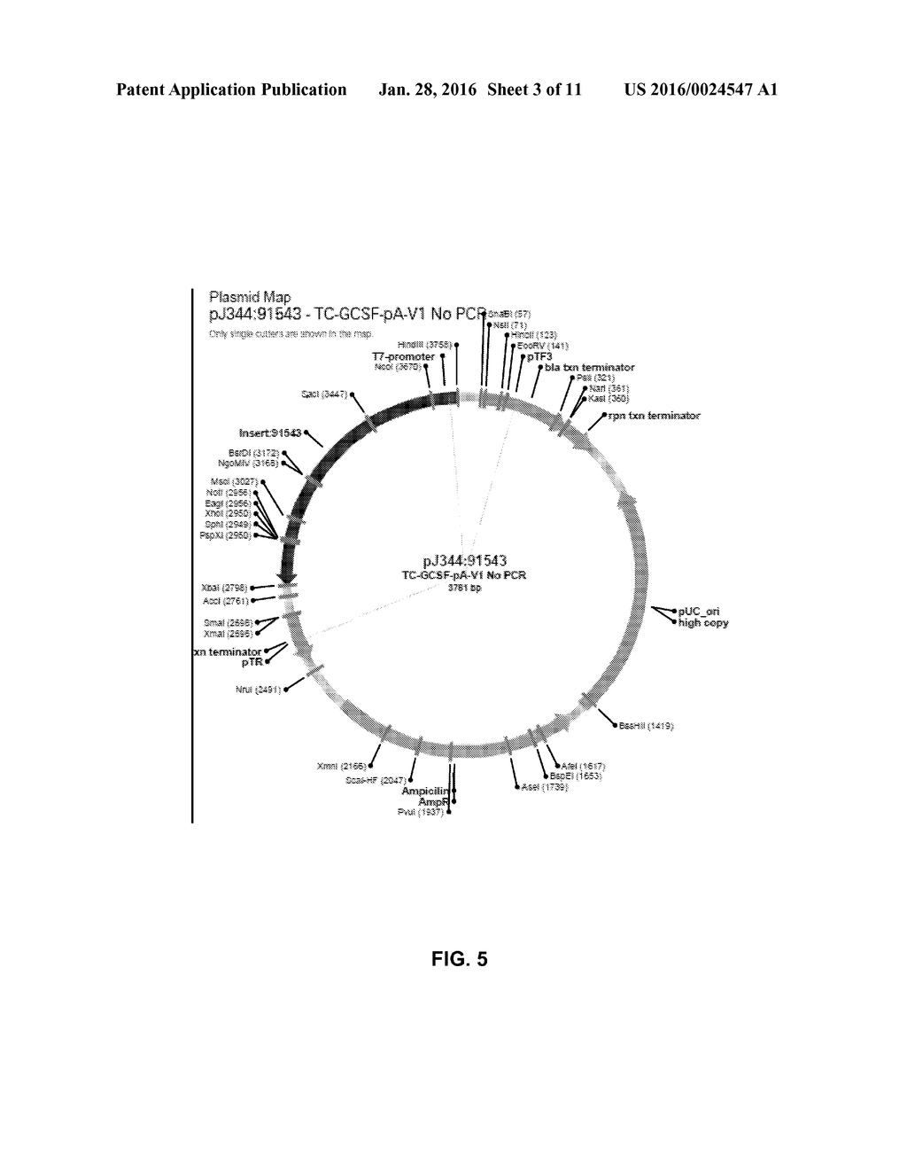 MANUFACTURING METHODS FOR PRODUCTION OF RNA TRANSCRIPTS - diagram, schematic, and image 04