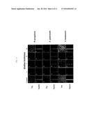 MULTI-TIERED, HIGH THROUGH-PUT SCREEN FOR COMPOUNDS EFFECTIVE AGAINST     BACTERIAL BIOFILM COMPOUNDS EFFECTIVE FOR INHIBITING AND ERADICATING     BACTERIAL BIOFILM diagram and image