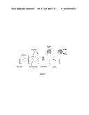 FRAGMENT COMPLEMENTATION OF BASED ASSAYS diagram and image