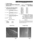 FABRICATION AND/OR APPLICATION OF ZINC OXIDE CRYSTALS WITH INTERNAL     (INTRA-CRYSTALLINE) POROSITY diagram and image