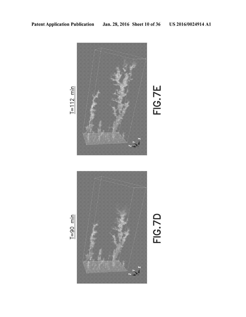 MONITORING MATRIX ACIDIZING OPERATIONS - diagram, schematic, and image 11