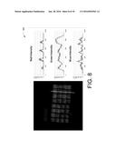 Photonic Optical Sensor and Method of Use Thereof diagram and image