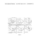 LONG WAVE INFRARED IMAGING POLARIMETER, AND METHOD OF ASSEMBLY diagram and image