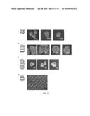 Composite Nanoparticle Structures for Chemical and Biological Sensing diagram and image