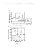 Composite Nanoparticle Structures for Chemical and Biological Sensing diagram and image