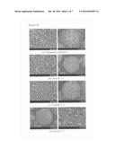 METHYLBENZENE GAS SENSOR USING CHROME-DOPED NICKEL OXIDE NANOSTRUCTURES     AND METHOD FOR PRODUCING SAME diagram and image