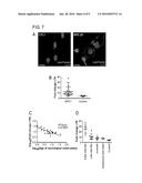 COMPOSITIONS AND METHODS FOR PREDICTING AGE OF ONSET OF A LYSOSOMAL     STORAGE DISEASE OR A DISEASE ASSOCIATED WITH A LYSOSOMAL DEFECT diagram and image