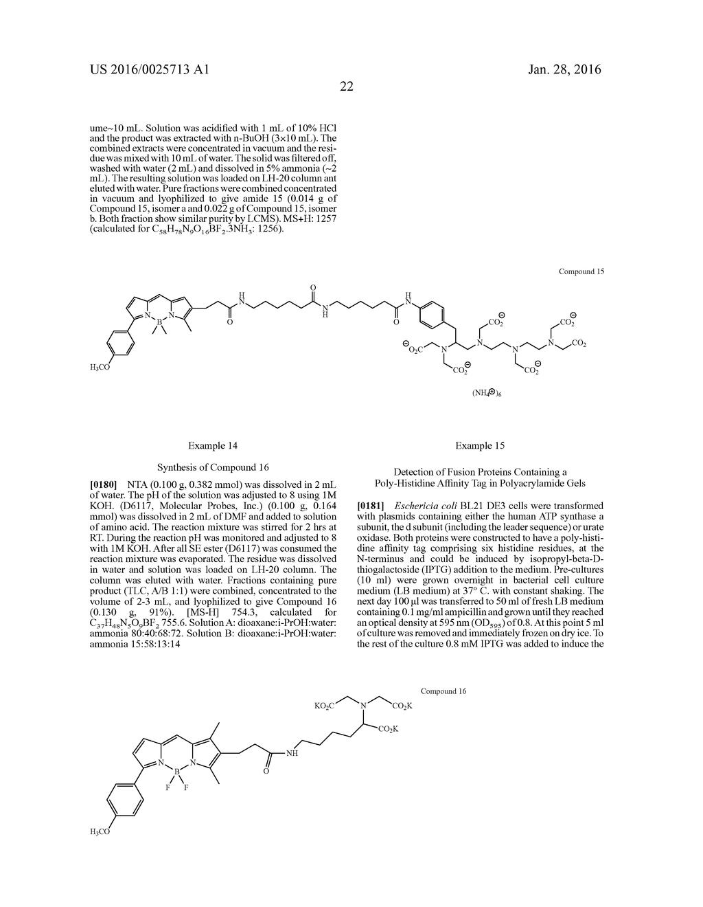 SITE-SPECIFIC LABELING OF AFFINITY TAGS IN FUSION PROTEINS - diagram, schematic, and image 27