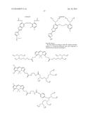 SITE-SPECIFIC LABELING OF AFFINITY TAGS IN FUSION PROTEINS diagram and image