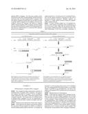 METHODS FOR DETECTING PEPTIDE/MHC/TCR BINDING diagram and image