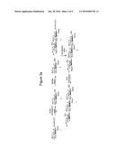 SYNTHESIS AND USE OF ISOTOPICALLY-LABELLED GLYCANS diagram and image