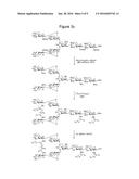 SYNTHESIS AND USE OF ISOTOPICALLY-LABELLED GLYCANS diagram and image