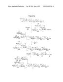 SYNTHESIS AND USE OF ISOTOPICALLY-LABELLED GLYCANS diagram and image