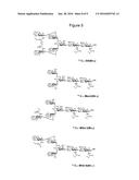 SYNTHESIS AND USE OF ISOTOPICALLY-LABELLED GLYCANS diagram and image