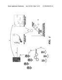 METHODS AND SYSTEMS FOR IDENTIFYING A PHYSIOLOGICAL STATE OF A TARGET CELL diagram and image