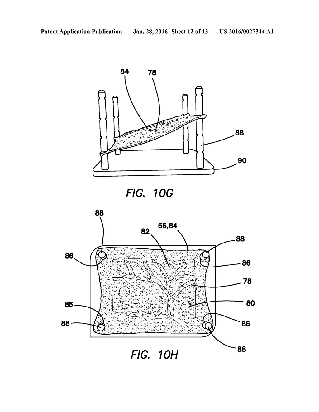 SIMULATED DISSECTIBLE TISSUE - diagram, schematic, and image 13