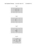 Display Panel and Display Method Thereof, and Display Device diagram and image