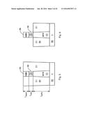 REPLACEMENT GATE NANOWIRE DEVICE diagram and image