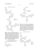 ORGANIC ELECTROLUMINESCENT MATERIALS AND DEVICES diagram and image