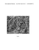 OXIDE SHELL FORMATION ON INORGANIC SUBSTRATE VIA OXIDATIVE POLYOXOANION     SALT DEPOSITION diagram and image