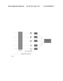 Distributed Combined Junctional Transformer diagram and image