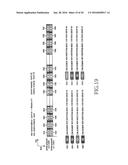 APPARATUS AND METHOD FOR TRANSMITTING/RECEIVING THE HYBRID-ARQ ACK/NACK     SIGNAL IN MOBILE COMMUNICATION SYSTEM diagram and image