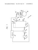 SPRAY HEAD ASSEMBLY WITH INTERIOR RISES, DEPRESSIONS, AND ORIFICES diagram and image