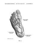 METHOD AND SYSTEM FOR ASSESSING SEVERITY AND STAGE OF PERIPHERAL ARTERIAL     DISEASE AND LOWER EXTREMITY WOUNDS USING ANGIOSOME MAPPING diagram and image