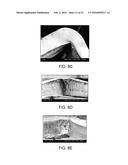 Crush Recoverable Polymer Scaffolds diagram and image