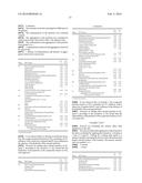 COMPOSITION CONTAINING COMPOSITE PARTICLES FOR SCREENING OUT UV RADIATION,     WITH A MEAN SIZE OF GREATER THAN 0.1 .mu.M, AND HYDROPHOBIC SILICA     AEROGEL PARTICLES diagram and image