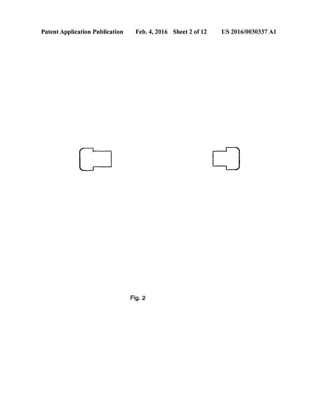 IMPLANTABLE DEVICE FOR THE DELIVERY OF RISPERIDONE AND METHODS OF USE     THEREOF - diagram, schematic, and image 03