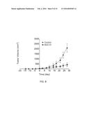 FKBP52 TARGETING AGENT PHARMACEUTICAL COMPOSITIONS diagram and image